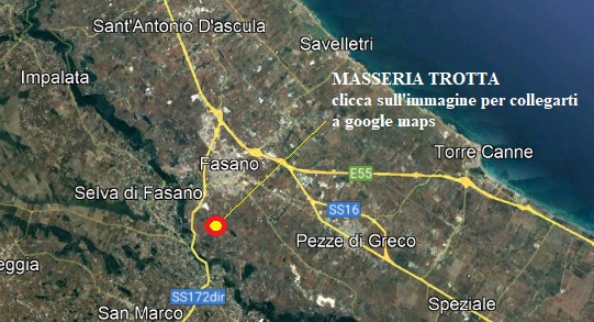 immagine da google earth